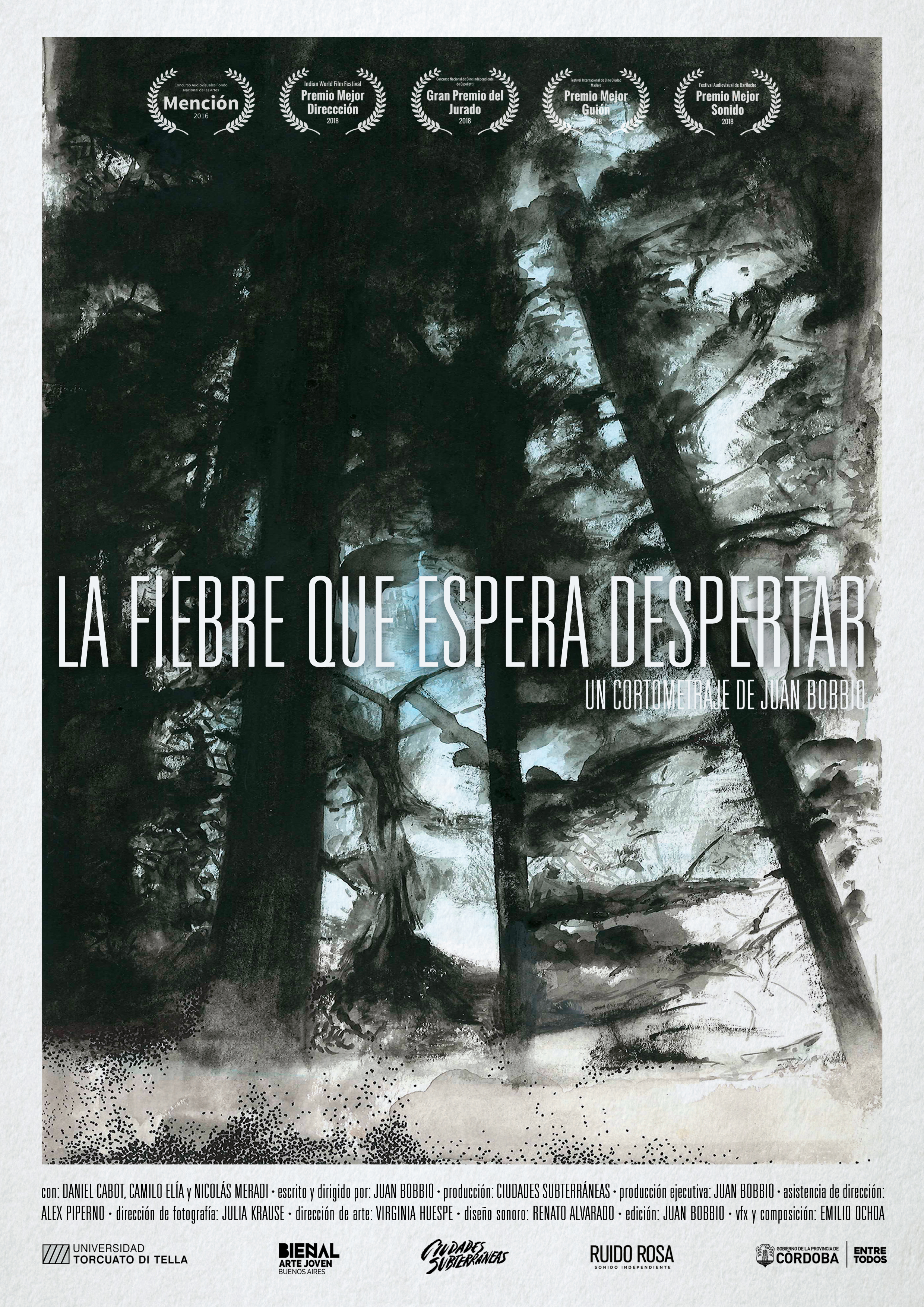 LA FIEBRE QUE ESPERA DESPERTAR - CORTOMETRAJE 14'